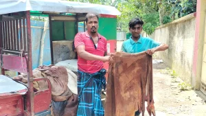 চামড়ার বাজারে সিন্ডিকেট করায় বগুড়া জেলায় এবারও চরম সংকটে পড়েছে।
