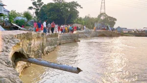 যমুনায় বিলীন মানিকগঞ্জের তিনতলা সরকারি প্রাথমিক বিদ্যালয় 2 যমুনা নদী ভাঙন আরও ভয়াবহ